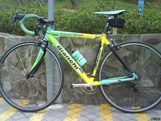 分享我的前 bianchi