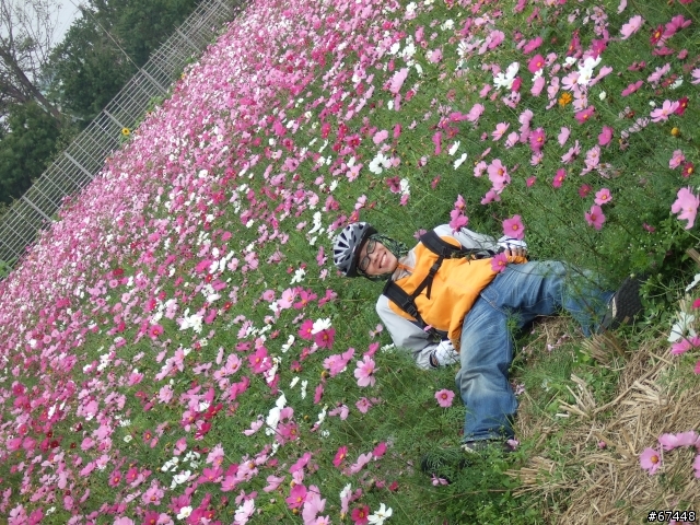 年初3台中潭雅神綠園道海放行