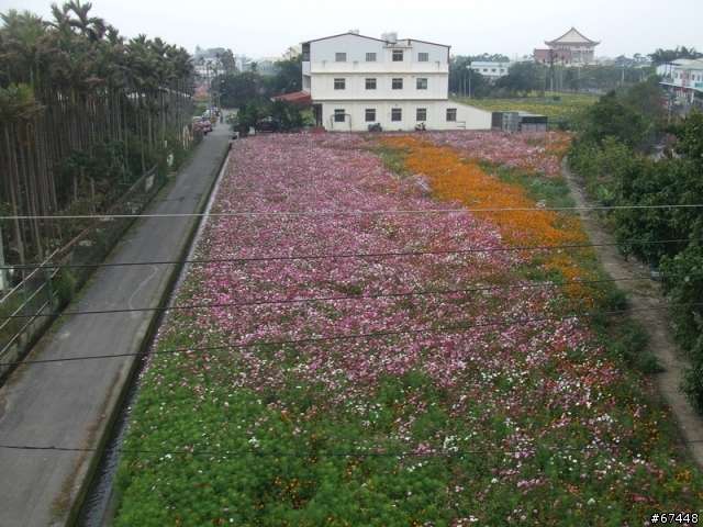 年初3台中潭雅神綠園道海放行