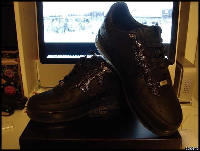 ［分享］Nike Air Force 1 SPRM Max Air '07
