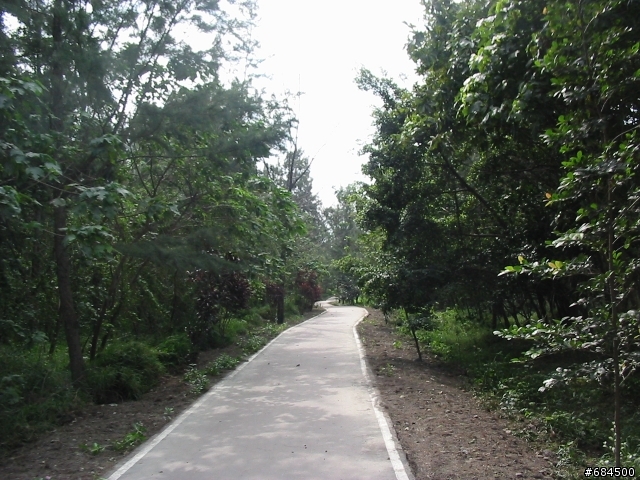 東遊記之關山自行車道與黑森林公園(圖多)