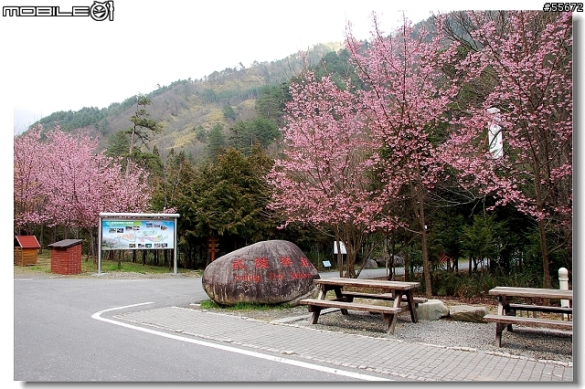 宜蘭往 台七甲 武陵農場 --合歡山!!(照片上傳完成), 小福首次上高山!
