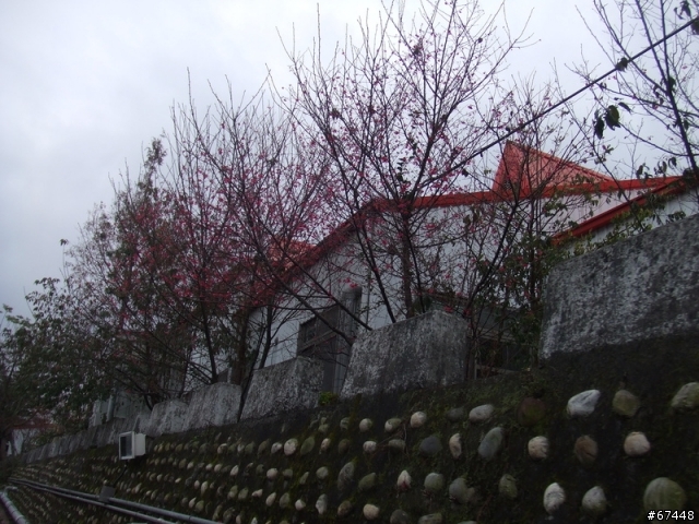 年初3台中潭雅神綠園道海放行