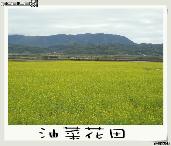 CUXI環島全制霸