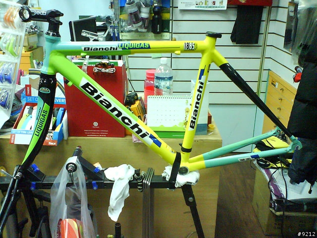 分享我的前 bianchi