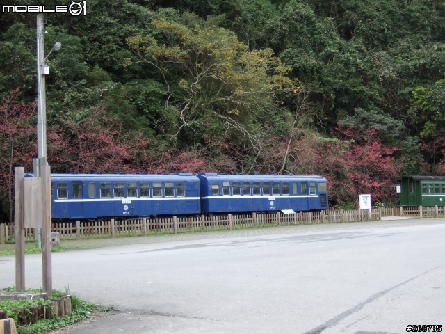 我的畢業返鄉之旅…北橫公路(圖多)