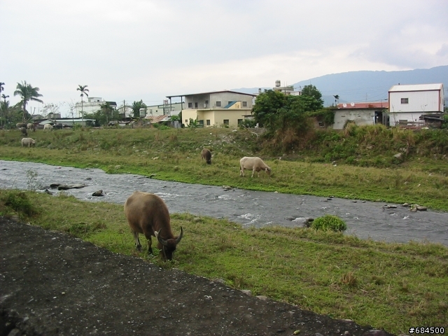 東遊記之關山自行車道與黑森林公園(圖多)