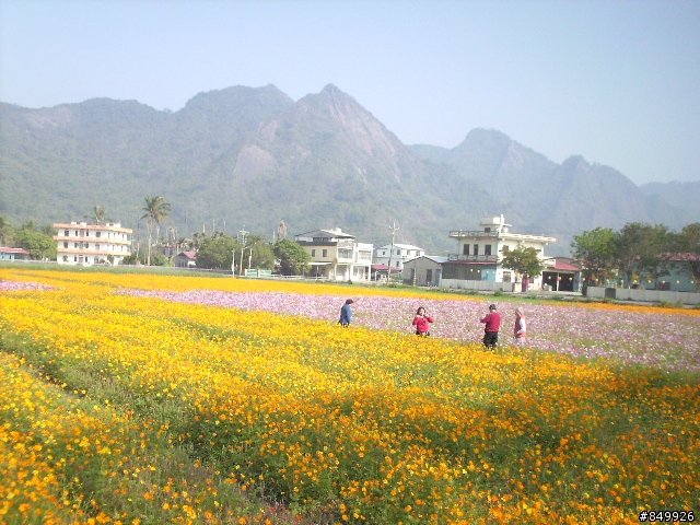美濃花海破百行