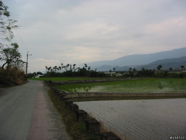 東遊記之關山自行車道與黑森林公園(圖多)