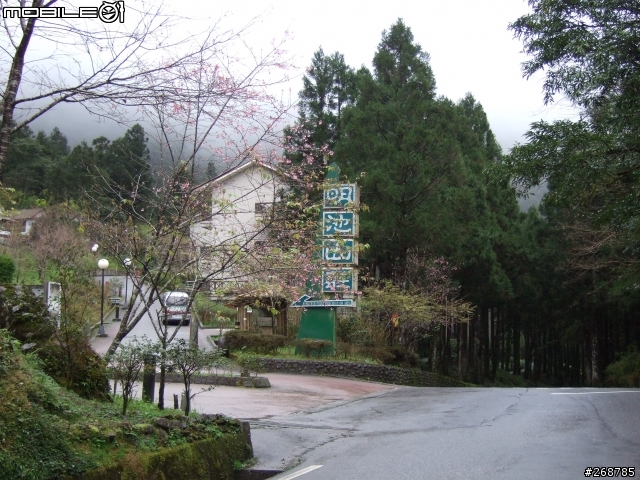 我的畢業返鄉之旅…北橫公路(圖多)