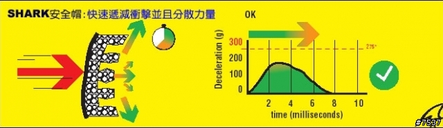 (純分享..不勸敗)(第1頁更新更多照片)SHARK頂級款 RSR2 低調黑色彩繪款
