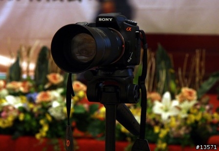 熱騰騰~Sony A200 御用簽到區
