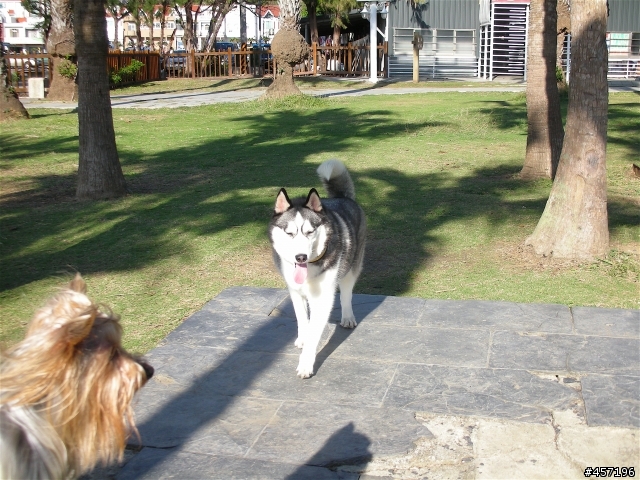 gio in 墾丁
