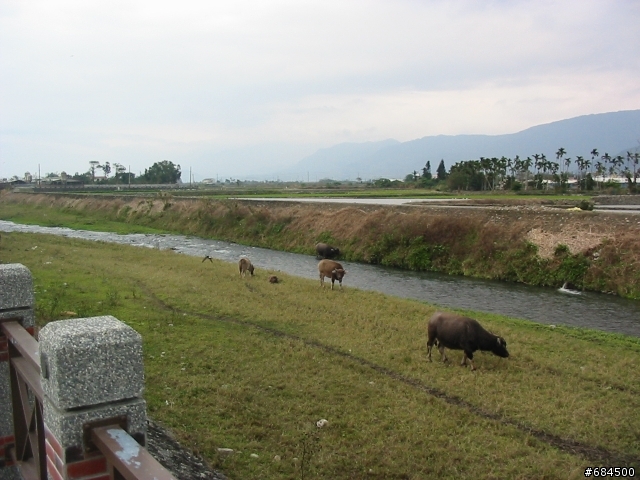 東遊記之關山自行車道與黑森林公園(圖多)