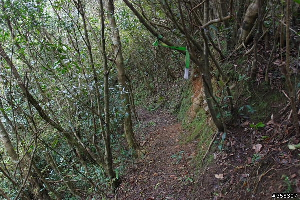 礁溪：小百岳～鵲子山（鴻子山）