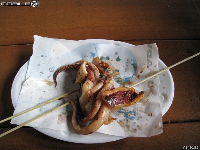 2008 無聊宅男  單人 4天3夜  環島之旅