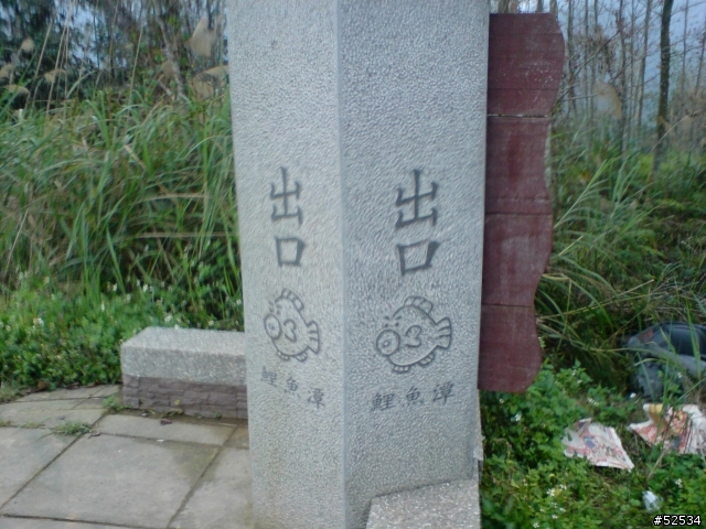 春節雙潭之旅(日月潭.鯉魚潭)