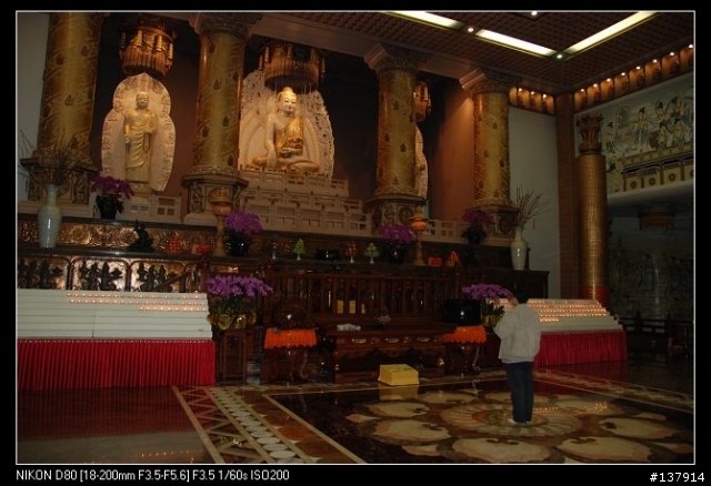 新買的NIKON18-200VR，大家給個意見