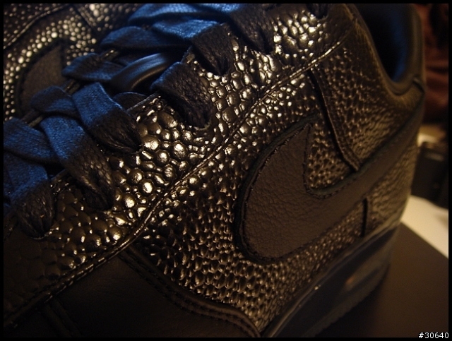 ［分享］Nike Air Force 1 SPRM Max Air '07