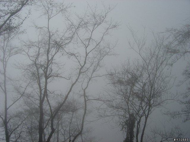 [新手上路] 年假環島紀實