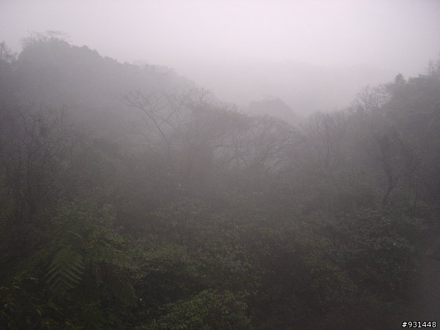 [新手上路] 年假環島紀實