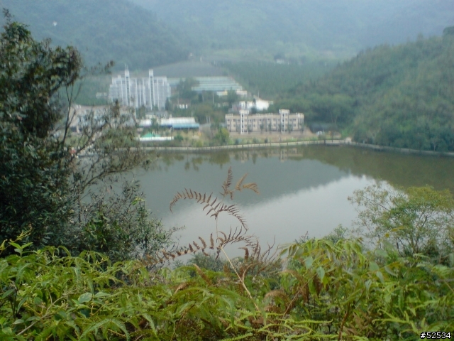 春節雙潭之旅(日月潭.鯉魚潭)