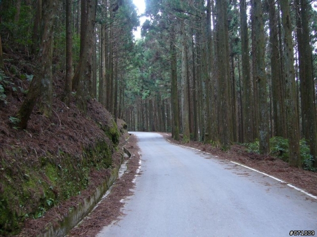 【分享】2008-02-16-雨過天晴的觀霧行