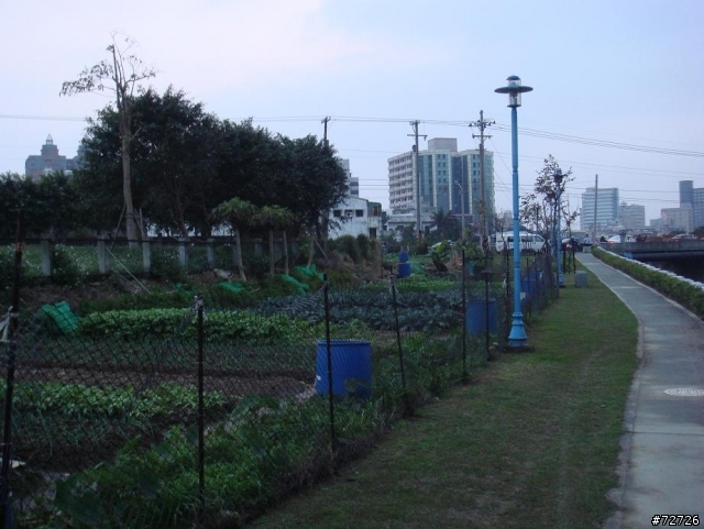 我是不是該去檢舉圍規佔用公園用地的人呢??