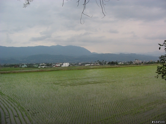 東遊記之關山自行車道與黑森林公園(圖多)