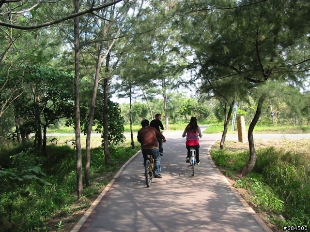 東遊記之關山自行車道與黑森林公園(圖多)