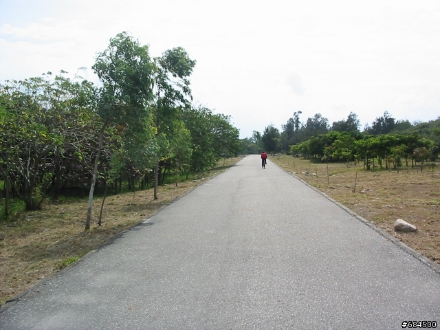 東遊記之關山自行車道與黑森林公園(圖多)