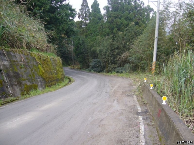 【分享】2008-02-16-雨過天晴的觀霧行