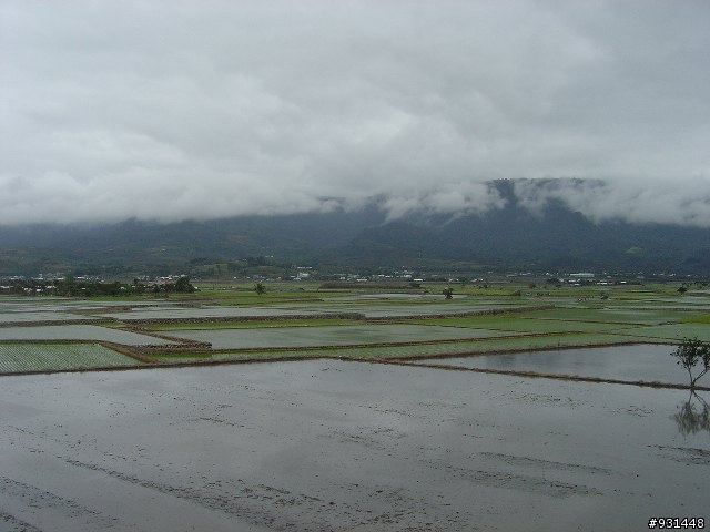 [新手上路] 年假環島紀實