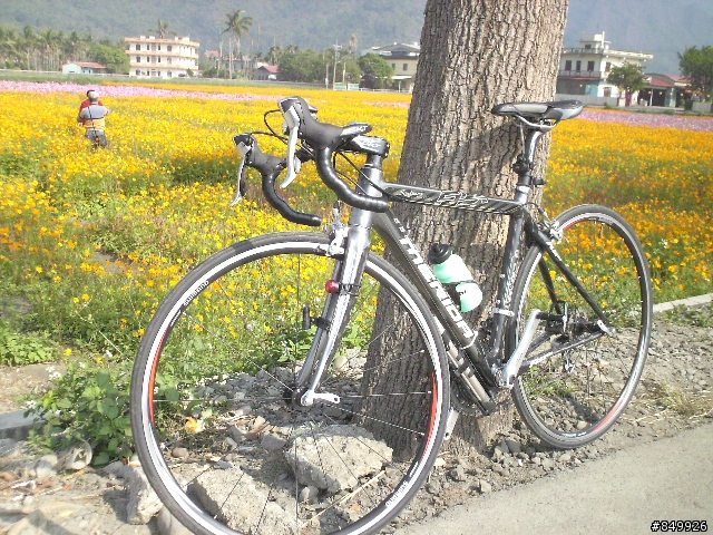 美濃花海破百行