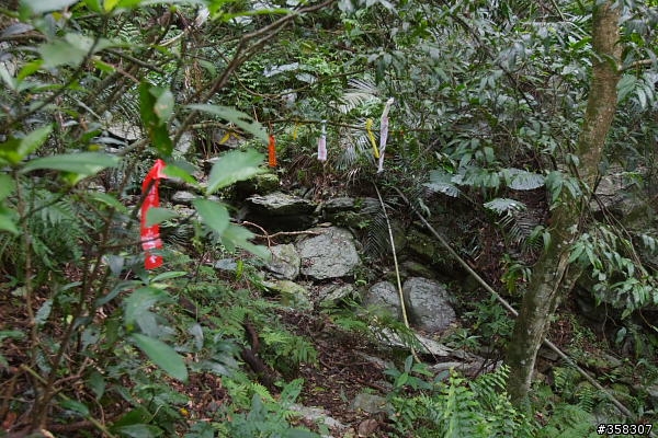 礁溪：小百岳～鵲子山（鴻子山）