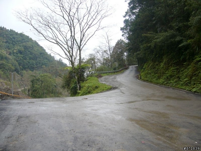 【分享】2008-02-16-雨過天晴的觀霧行