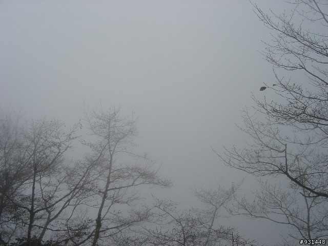 [新手上路] 年假環島紀實