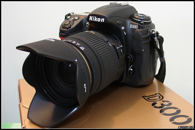 [Nikon D300開箱]~2/16更新追焦及風景照