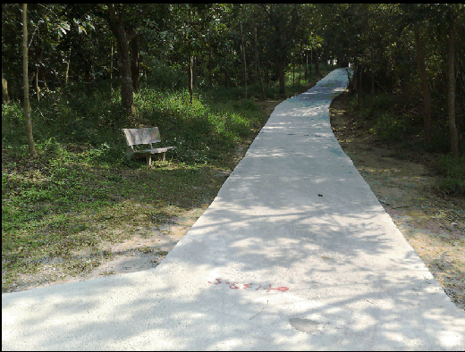台南-關廟：心曠神怡的腳踏車步道（關廟森林公園-傳說中的關廟休息站路線）