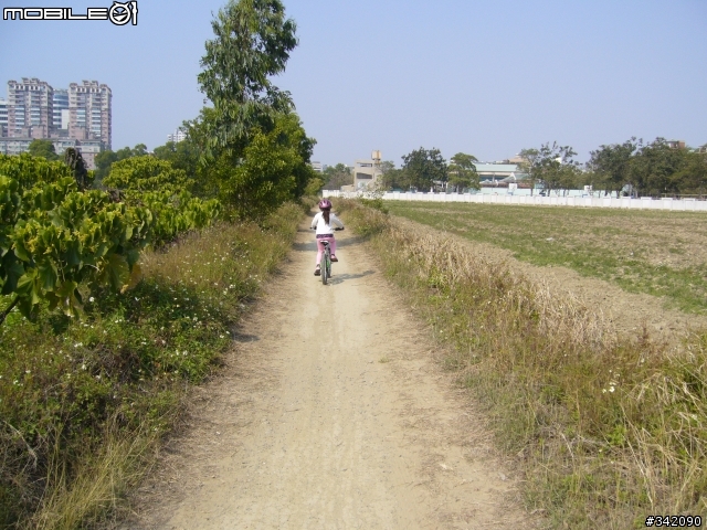 [分享]小朋友20"登山車GIANT YD-290(第一天就直接給它OFF-ROAD)