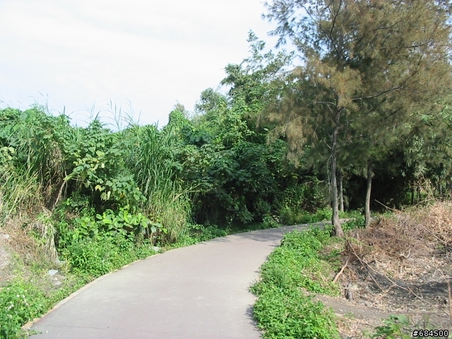 東遊記之關山自行車道與黑森林公園(圖多)