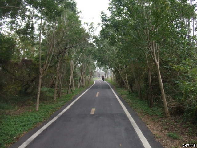 年初3台中潭雅神綠園道海放行