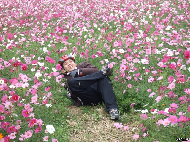 年初3台中潭雅神綠園道海放行