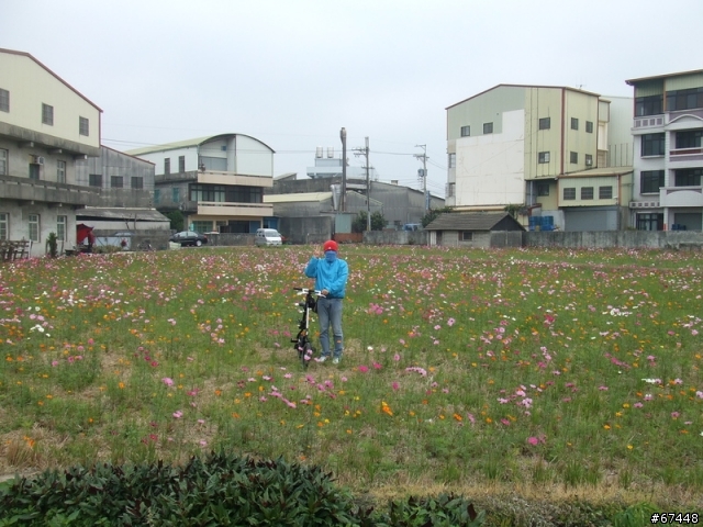 年初3台中潭雅神綠園道海放行