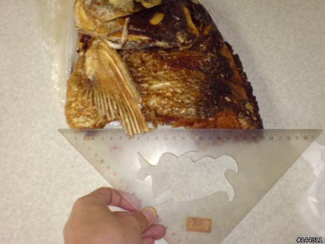 傳說中的東山大臉盆砂鍋魚頭....