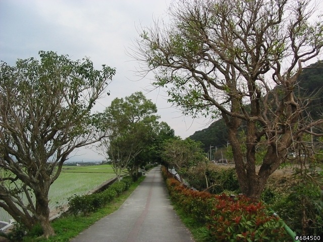 東遊記之關山自行車道與黑森林公園(圖多)