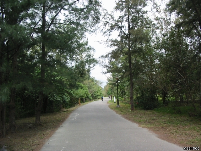 東遊記之關山自行車道與黑森林公園(圖多)