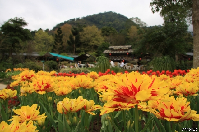Eos 40d 入手於億華