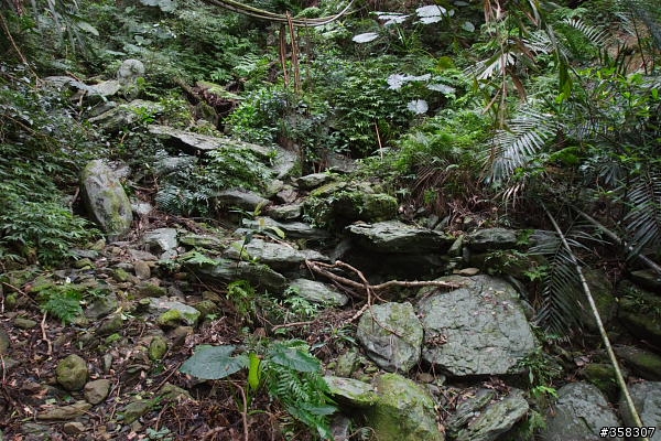 礁溪：小百岳～鵲子山（鴻子山）