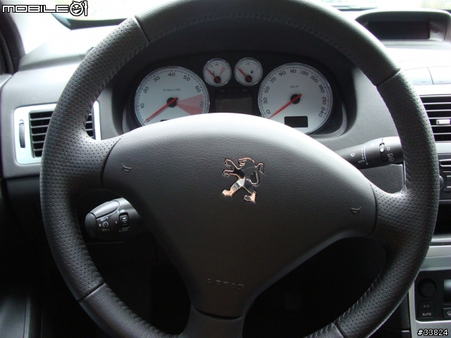 我家的獅樂園....Peugeot 307 2.0 入園分享....